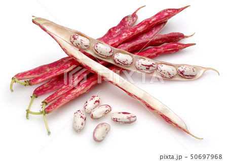 Fresh pinto beans isolated on white Fresh pinto beans isolated on white 50697968