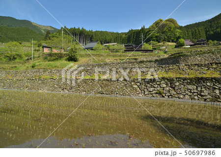 岩座神の棚田　多可町　 50697986