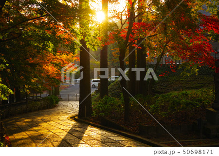 島根県　一畑薬師の紅葉（2018年12月） 50698171