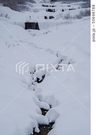 冬の伯耆大山(2019年1月2日) 冬の伯耆大山(2019年1月2日) 50698788