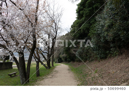 水城の木樋 50699460