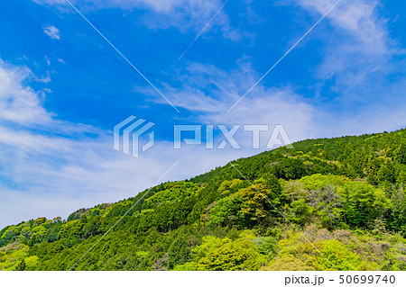 静岡県富士市　須津川渓谷の新緑 50699740