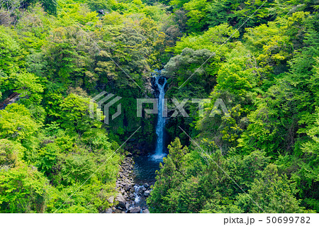 静岡県富士市 須津川渓谷の大棚の滝 新緑 春の写真素材