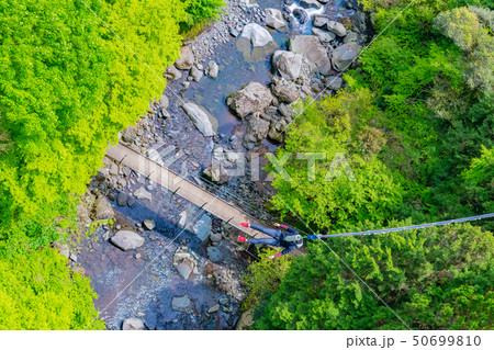 静岡県富士市　須津川渓谷のバンジージャンプ　春　新緑 50699810
