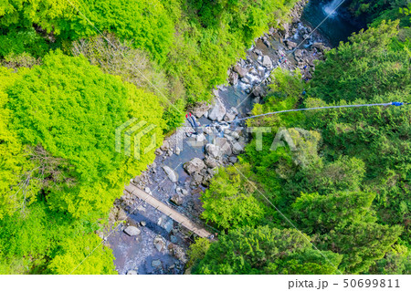 静岡県富士市 須津川渓谷のバンジージャンプ 春 新緑の写真素材