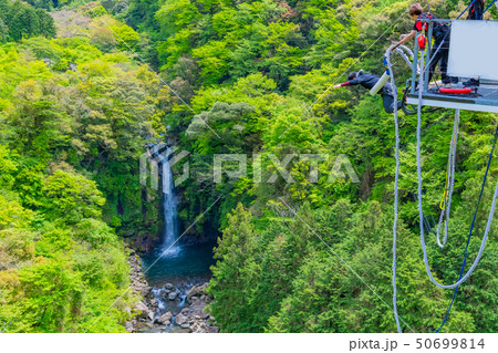 静岡県富士市　須津川渓谷のバンジージャンプ　春　新緑 50699814