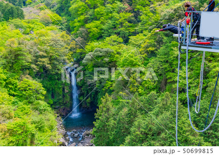 静岡県富士市　須津川渓谷のバンジージャンプ　春　新緑 50699815