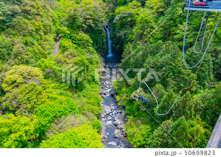 静岡県富士市 須津川渓谷のバンジージャンプ 春 新緑の写真素材