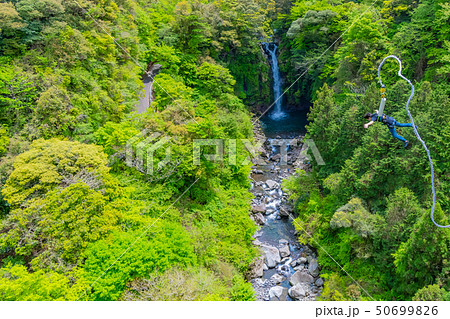 静岡県富士市 須津川渓谷のバンジージャンプ 春 新緑 静岡県富士市 須津川渓谷のバンジージャンプ 春 新緑 50699826