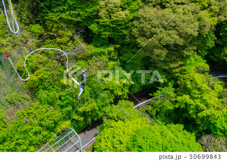 静岡県富士市 須津川渓谷のバンジージャンプ 春 新緑の写真素材