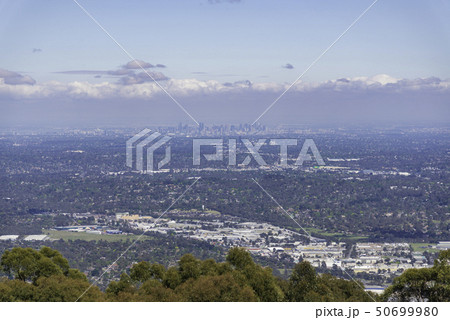Nature in Dandenong mountain Melbourne 50699980