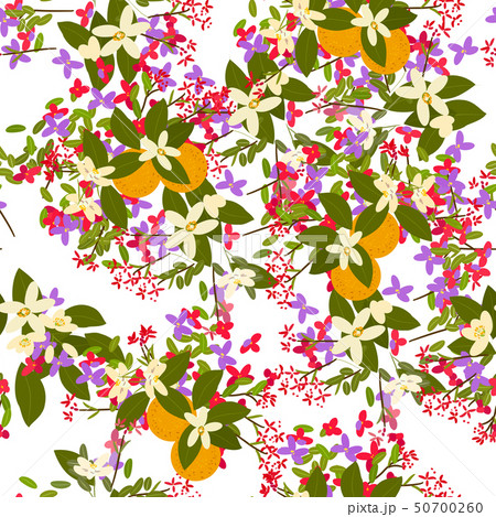 Floral arabis, orange background Floral arabis, orange background 50700260