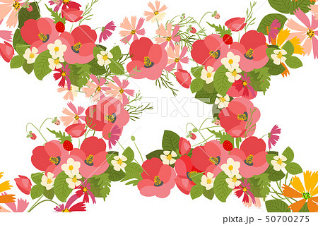 Floral background poppy and cosmos strawberries vector illustration Floral background poppy and cosmos strawberries vector illustration 50700275