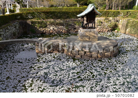 【中国三十三観音霊場】第二番　餘慶寺の弁天堂と花びらに埋め尽くされた池　岡山県瀬戸内市 50701082