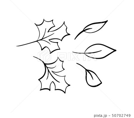 Vector Collection Of Hand Drawn Autumn Leaves のイラスト素材 50702749 Pixta