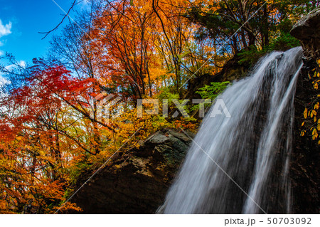 【長野県】雷滝 【長野県】雷滝 50703092