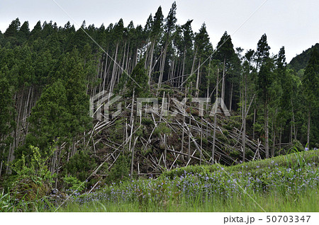 【社会問題】森林伐採　土砂崩れ　自然災害 50703347