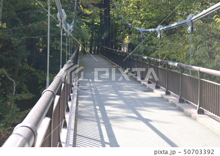 湯西川 橋 湯西川 橋 50703392