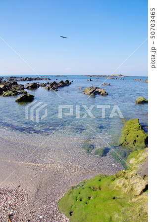 天神島(横須賀市) 天神島(横須賀市) 50703465