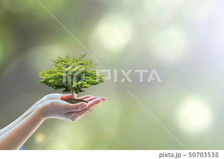 Save environmental ecosystem natural preservation Save environmental ecosystem natural preservation 50703538