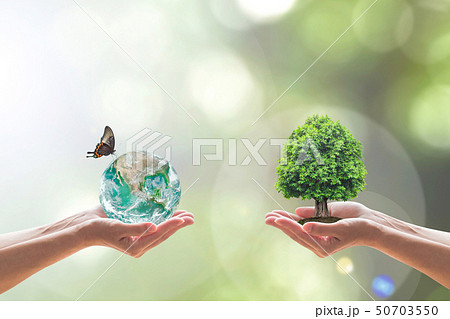 Sustainable environment and saving energy concept  50703550