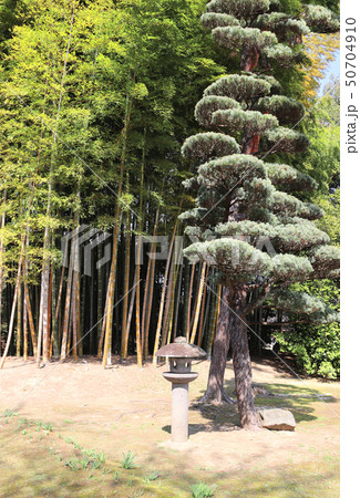 Decorative stone lantern in Koishikawa Korakuen 50704910