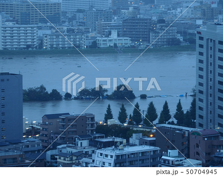 大雨で増水した多摩川 / Tama river after heavy rain 50704945