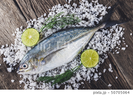 Sea Trevally fish or jack fish. Sea Trevally fish or jack fish. 50705064