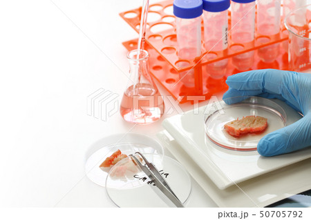 培養肉作製イメージ 培養肉作製イメージ 50705792