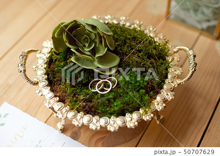 rustic, eco and boho wedding with decor moss and rings 50707629