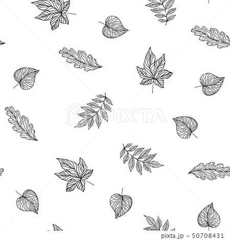 Seamless pattern with leaves. floral background 50708431