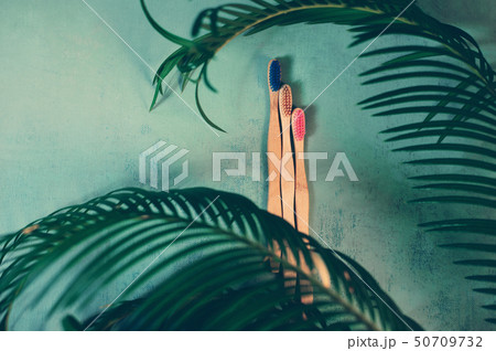4 bamboo toothbrushes over green background and green palm leaf 50709732