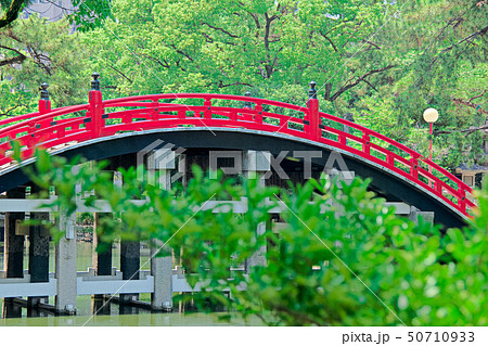 住吉大社反橋 住吉大社反橋 50710933