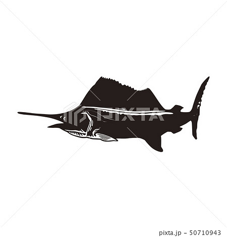 カジキマグロのイラスト素材