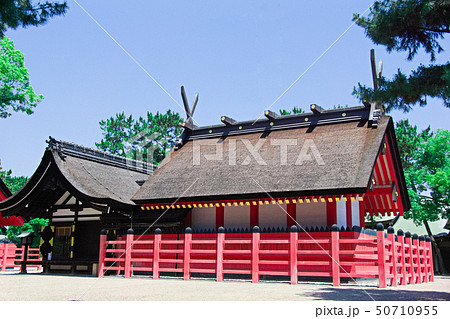住吉大社 住吉大社 50710955