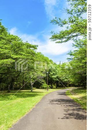 【東京都】多摩市　桜ヶ丘公園 50712359
