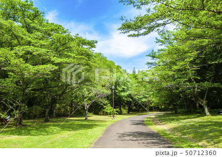 【東京都】多摩市　桜ヶ丘公園 50712360