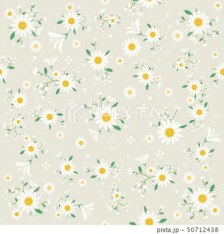 Seamless Beautiful daisy floral pattern-vector 50712438