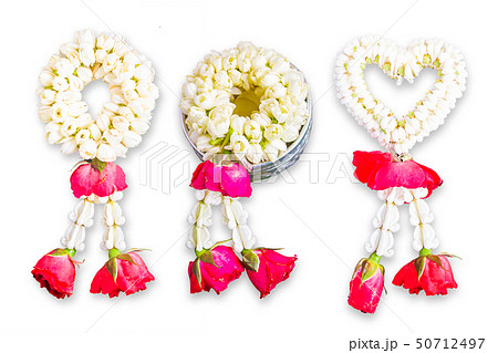 Jasmine Garland on White Background. Jasmine Garland on White Background. 50712497
