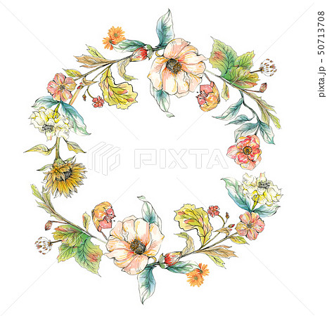 透明水彩 水彩画 花 50713708