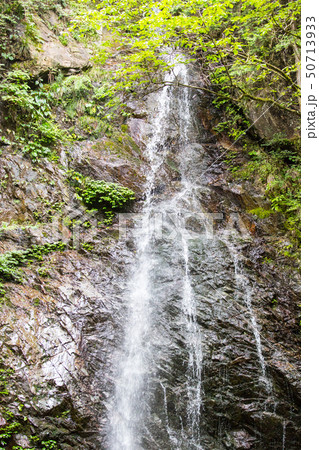 日本の滝百選  東京都桧原村 払沢の滝 飲料水 源流  旅行 日本の滝百選  東京都桧原村 払沢の滝 飲料水 源流  旅行 50713933