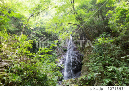 日本の滝百選  東京都桧原村 払沢の滝 飲料水 源流  旅行 50713934
