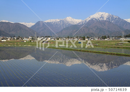 信濃大町の5月　山岳展望 50714639