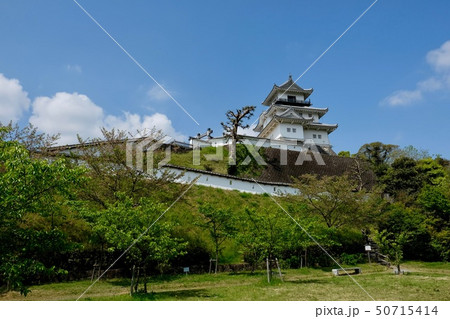 【静岡】掛川城の天守閣 【静岡】掛川城の天守閣 50715414