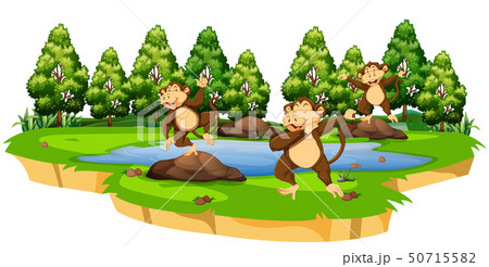 Monkey in nature scene 50715582