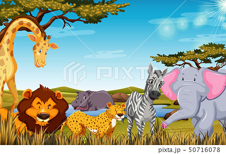 Animals In Safari Sceneのイラスト素材