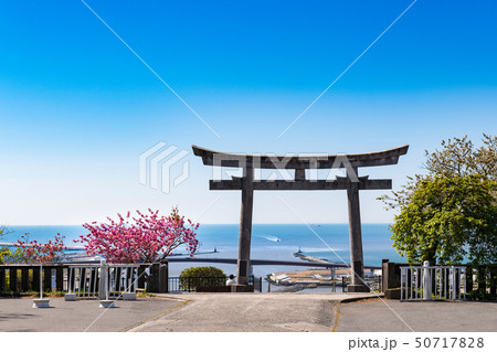 海の見える神社の鳥居 海の見える神社の鳥居 50717828