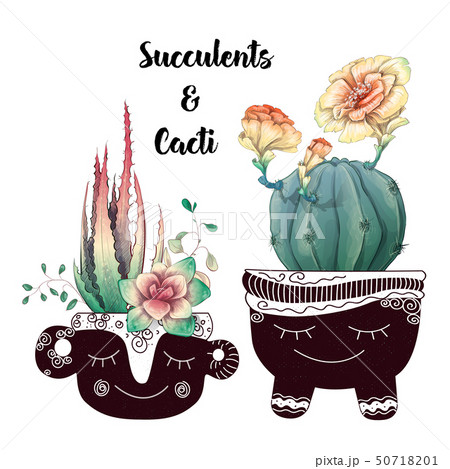 Card with cactuses and succulents set. Plants of 50718201