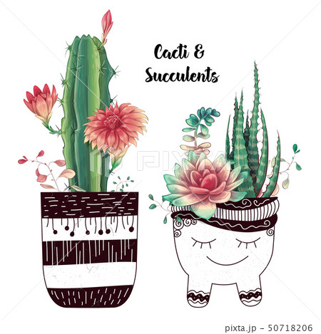 Card with cactuses and succulents set. Plants of Card with cactuses and succulents set. Plants of 50718206