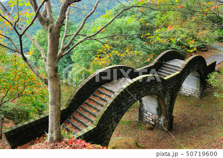 秋の季節 オータムカラー 秋の景色 50719600